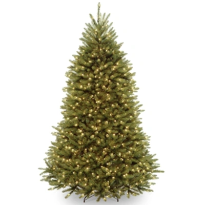 National Tree Company National Tree 7' Dunhill Fir Hinged Tree With 700 Clear Lights In Green