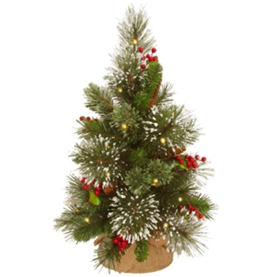National Tree Company 18" Wintry Pine Small Tree With Cones, Red Berries And Snowflakes In Burlap Base With 15 Warm White In Green