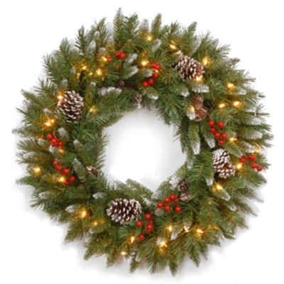 National Tree Company 30" Frosted Berry Wreath With 100 Clear Lights In Green