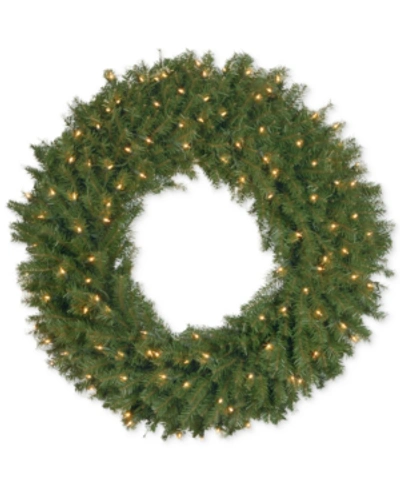 National Tree Company 36" Norwood Fir Wreath With 100 Clear Lights In Green
