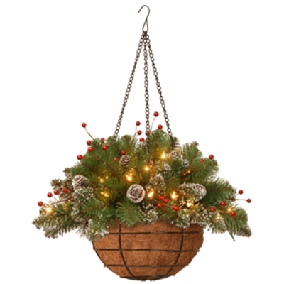National Tree Company 20" Glittery Mountain Spruce Hanging Basket With White-edged Cones, Red Berries And 35 Battery Opera In Green