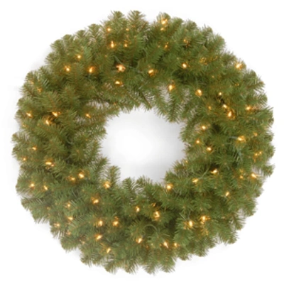 National Tree Company 24" North Valley Spruce Wreath With 50 Clear Lights In Green