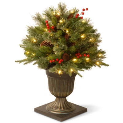 National Tree Company National Tree 24" "feel Real" Colonial Porch Bush With Cones, Red Berries, And 50 Clear Lights In Green