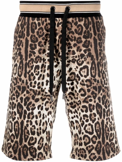 Dolce & Gabbana Leopard-print Drawstring-fastening Shorts In Multicolour