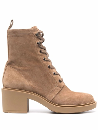 Gianvito Rossi Tan Suede Foster Lace-up Boots In Beige