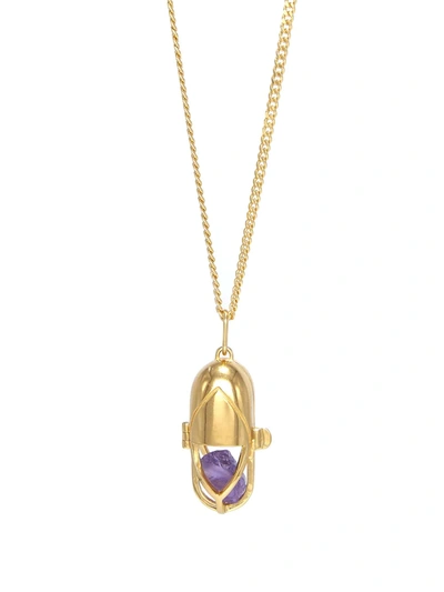 Capsule Eleven Amethyst Crystal Capsule Pendant Necklace In Gold
