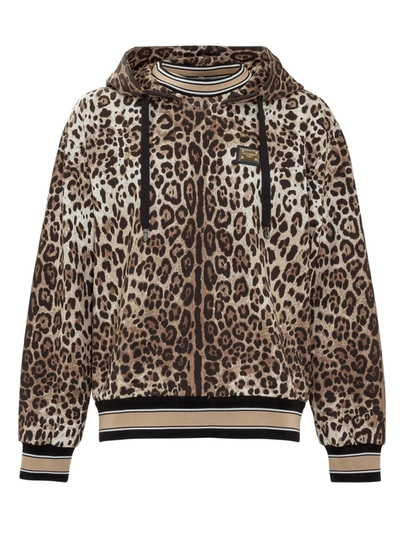 Dolce & Gabbana Animalier Print Stripe Trimmed Hooded Sweatshirt In Grey