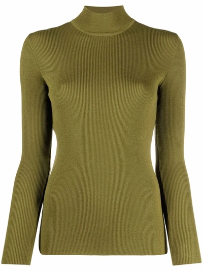 Alberta Ferretti Wool Knit Turtleneck Sweater In Green