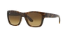 Ray Ban Ray In Brown Gradient