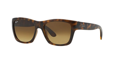 Ray Ban Ray In Brown Gradient