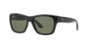 Sunglasses Brands Ray In Polarized Green Classic