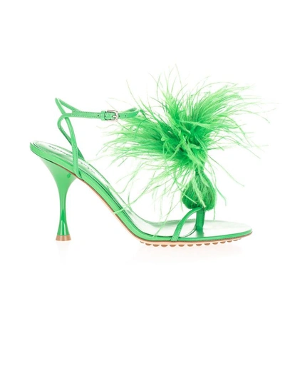 Bottega Veneta Dot Feather-trimmed Leather Sandals In Green