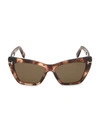 Tom Ford Women's Wyatt Cat Eye Sunglasses, 56mm In Havana,roviex