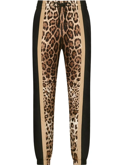 Dolce & Gabbana Leopard-print Shell Track Pants In Schwarz