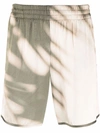 Blue Sky Inn Printed Shadow Viscose Shorts In Grün