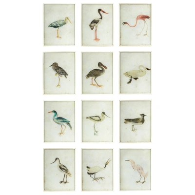 Oka Set Of Twelve Bird Paintings - Multi