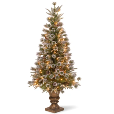 National Tree Company National Tree 4' "feel Real" Liberty Pine Entrance Tree W Snow & Pine Cones In Bronze Plastic Pot W In Green