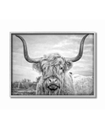 Stupell Industries Black And White Highland Cow Photograph Gray Framed Texturized Art, 16" L X 20" H In Multi