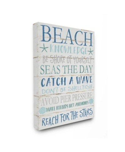 Stupell Industries Beach Knowledge Blue Aqua And White Planked Look Sign, 16" L X 20" H In Multi