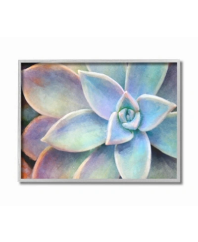 Stupell Industries Succulent Plant Vibrant Bloom Painting Gray Framed Texturized Art, 16" L X 20" H In Multi