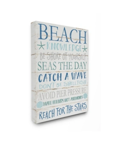 Stupell Industries Beach Knowledge Blue Aqua And White Planked Look Sign, 24" L X 30" H In Multi