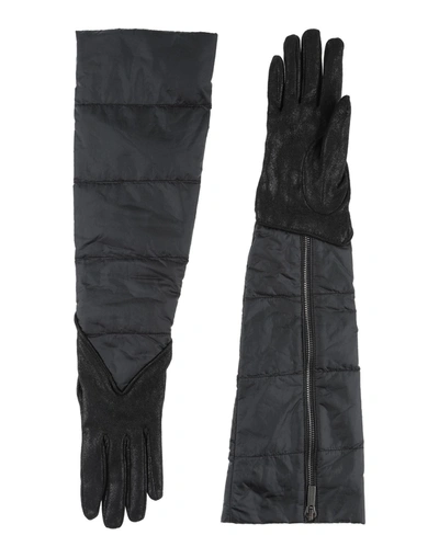 Gentryportofino Gloves In Black
