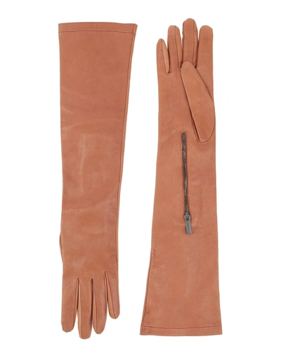 Gentryportofino Gloves In Brown