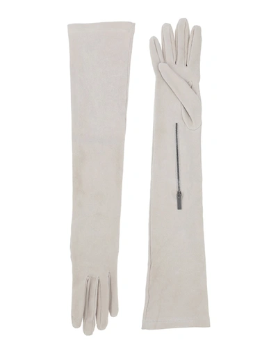 Gentryportofino Gloves In Light Grey