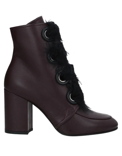 Greymer Ankle Boots In Maroon