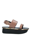 Marni Sandals In Blush