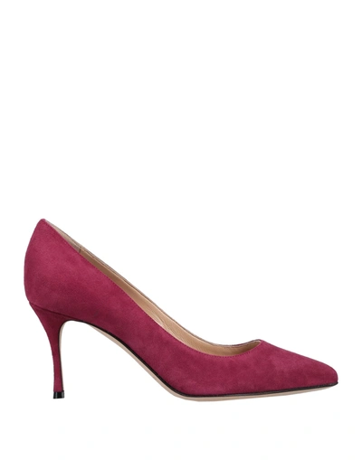 Sergio Rossi Pumps In Garnet