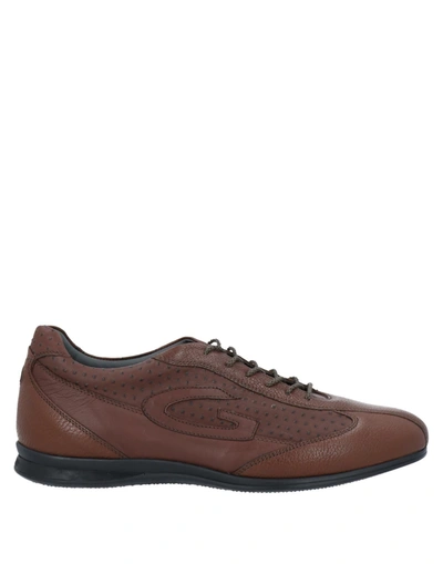 Alberto Guardiani Lace-up Shoes In Brown
