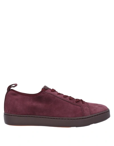 Santoni Sneakers In Deep Purple