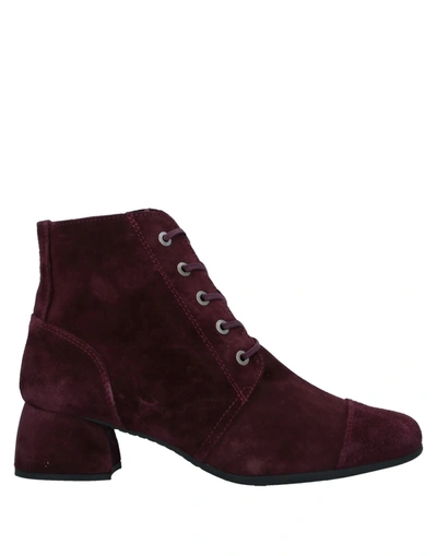 Gaimo Ankle Boots In Deep Purple