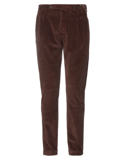 Berwich Pants In Brown