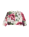 Dolce & Gabbana Cardigans In Ivory