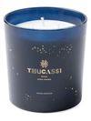 Thucassi Ocean Coral Garden Candle