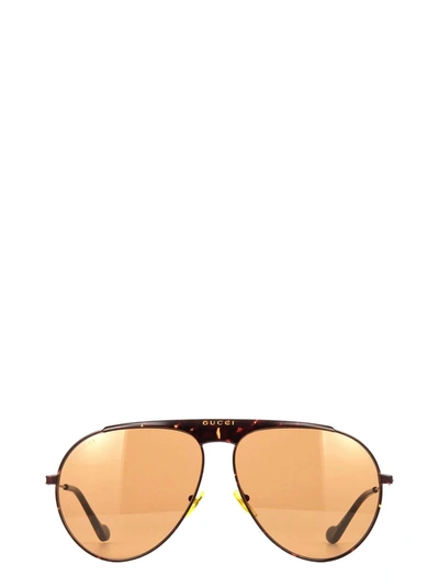 Gucci Gg0908s Havana Male Sunglasses