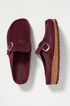 Birkenstock Buckley Clog In Purple