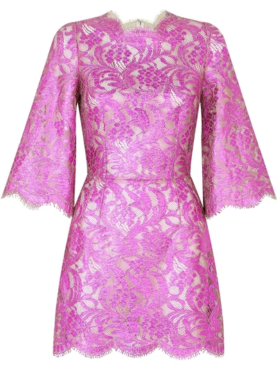 Dolce & Gabbana Fuchsia Lace Sheer Minidress In Pink