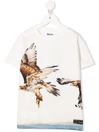 Molo Teen Eagle-print Organic-cotton T-shirt In White