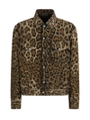 Dolce & Gabbana Leopard Print Blouson Jacket In Variante Abbinata