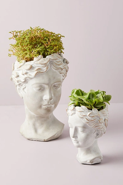 Anthropologie Grecian Bust Planter