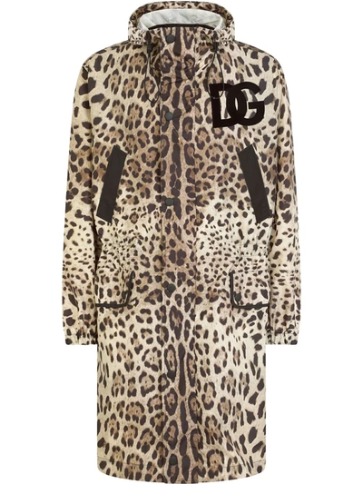 Dolce & Gabbana Dg Logo-patch Leopard-print Raincoat In Braun