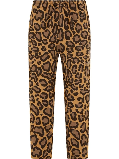 Dolce & Gabbana Leopard-print Drawstring Trousers In Braun