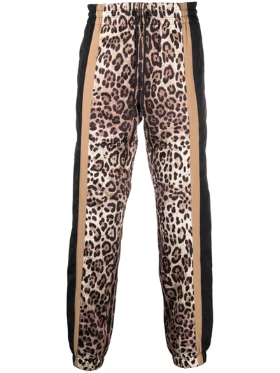 Dolce & Gabbana Leopard Print Drawstring Trousers In Schwarz