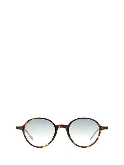 Eyepetizer Sforza Dark Havana Sunglasses