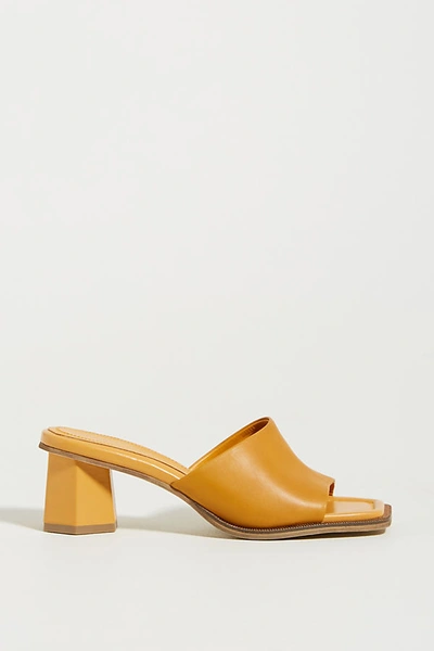 Bruno Premi Square-toe Heeled Slide Sandals In Yellow