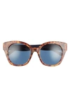 Spotted Tort/ Blue Solid