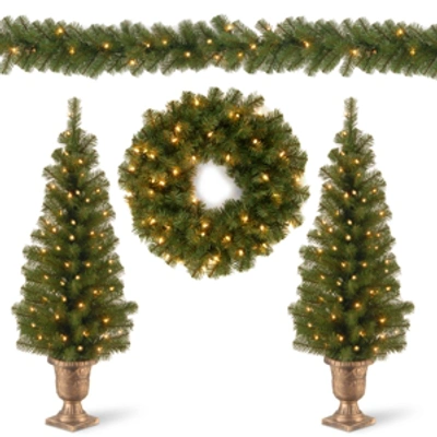 National Tree Company 2x4' Entrance Trees In Black/gold Pot W Clear Lts, 24" Wreath W/warm White Lts, 9'x8" Garland W/clea In Green
